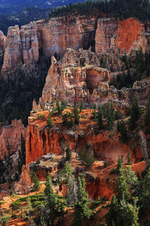 A view into The Amphitheater